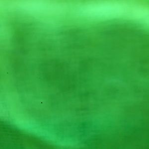 Meet your Posher, Lee